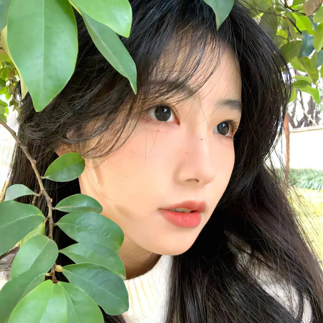 校花的日租男友